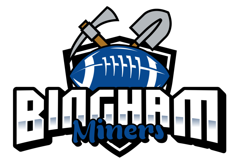 Bingham Logo